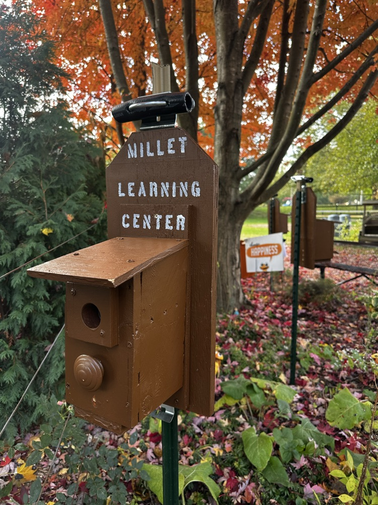 Saginaw ISD adopt-a-garden birdhouses