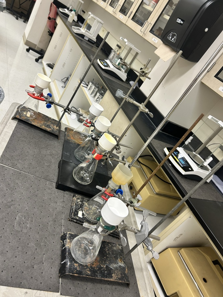 lab