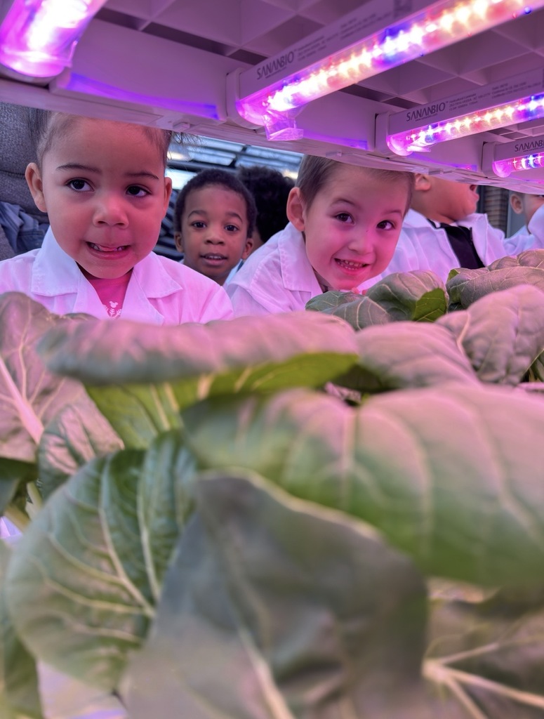 Students exploring hydroponics in greenhouse.