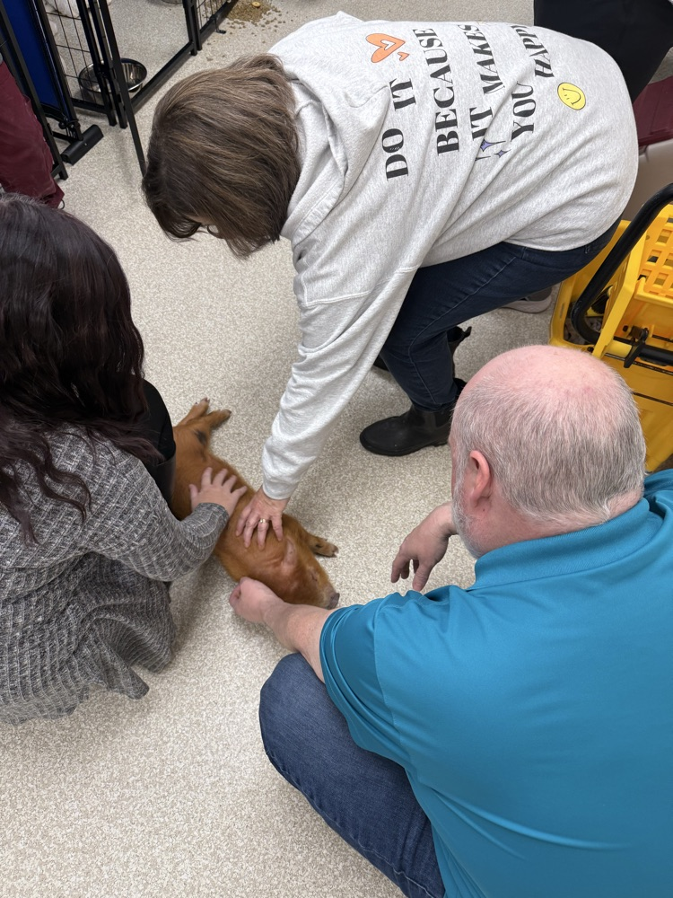 Hanging out with the pig!