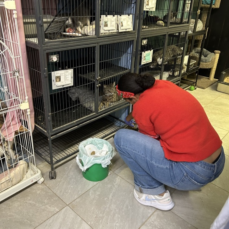 Amazing Grace Animal Rescue