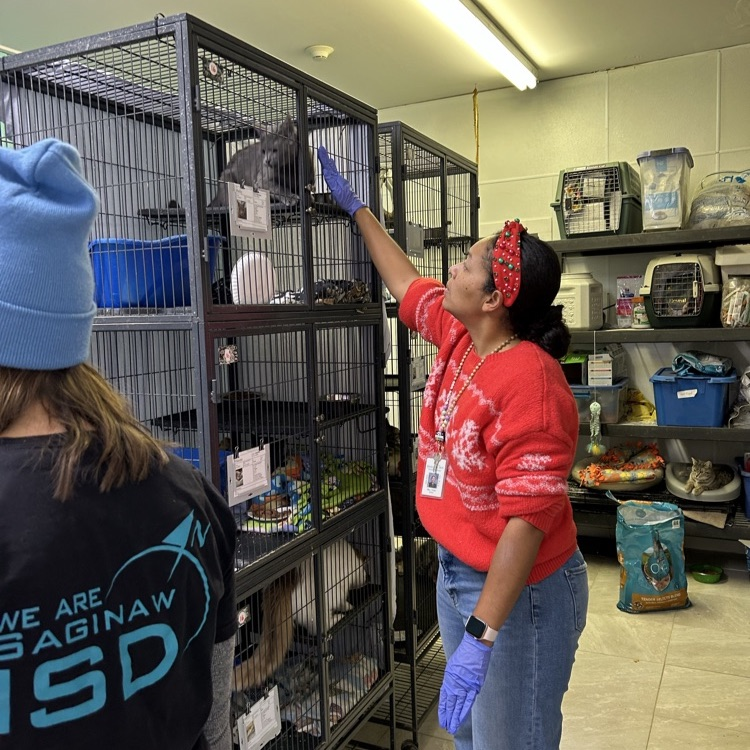 Amazing Grace Animal Rescue