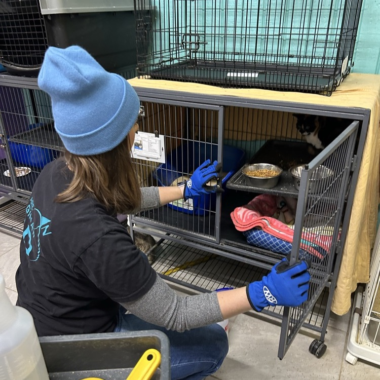 Amazing Grace Animal Rescue