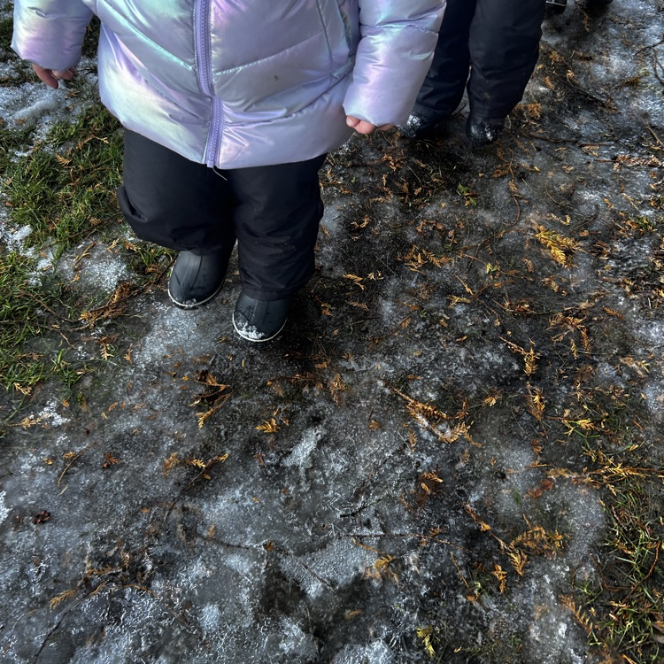 discovering freezing and melting