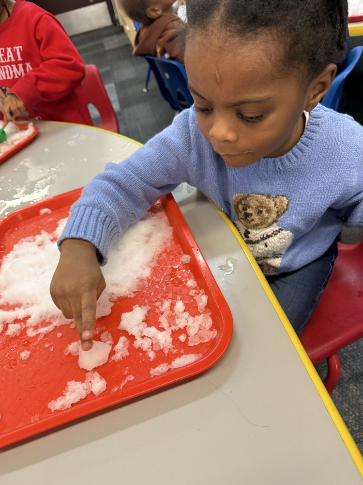 Playing with the melting snow!