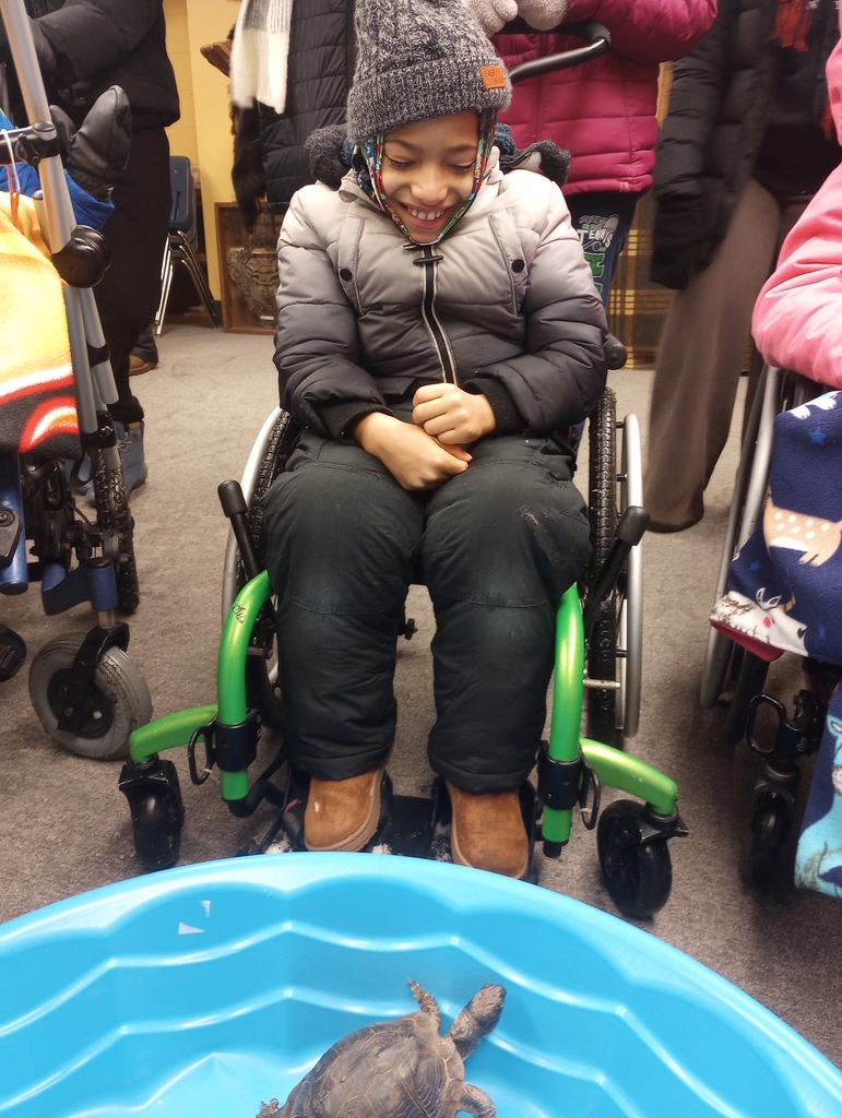 student looking at turtle