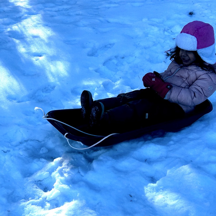 sledding