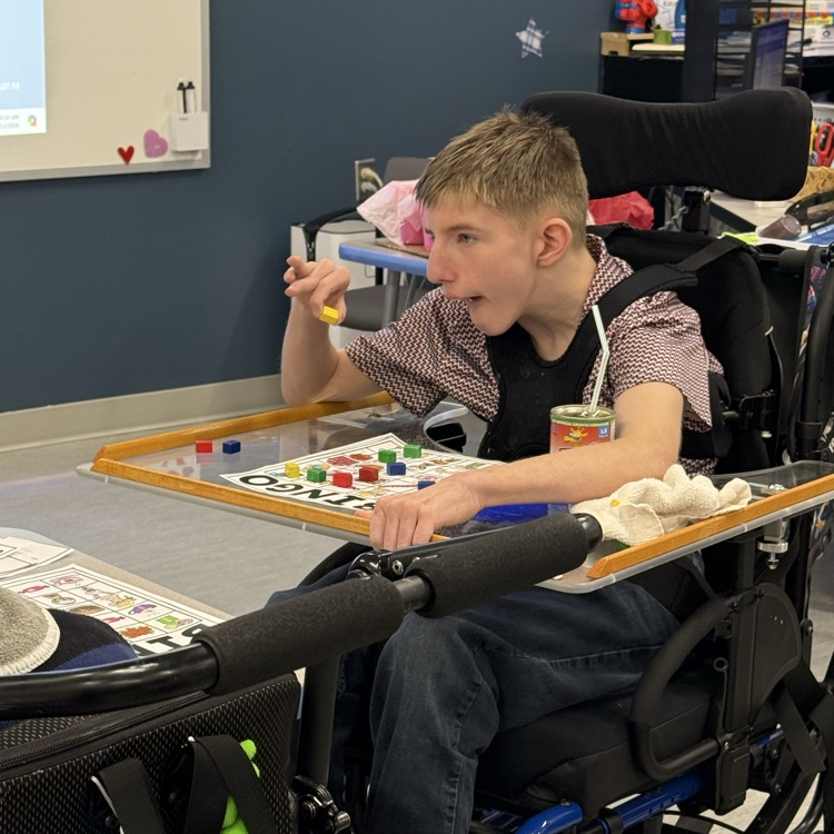 male teenage special needs student in a wheelchair placing a bingo chip on his valentine picture bingo card