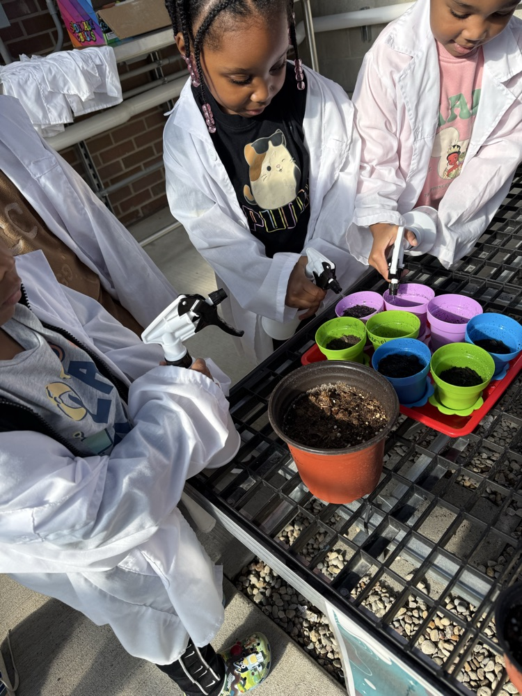 planting seeds and making rain clouds