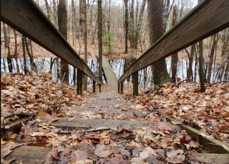 stairs and a bridge