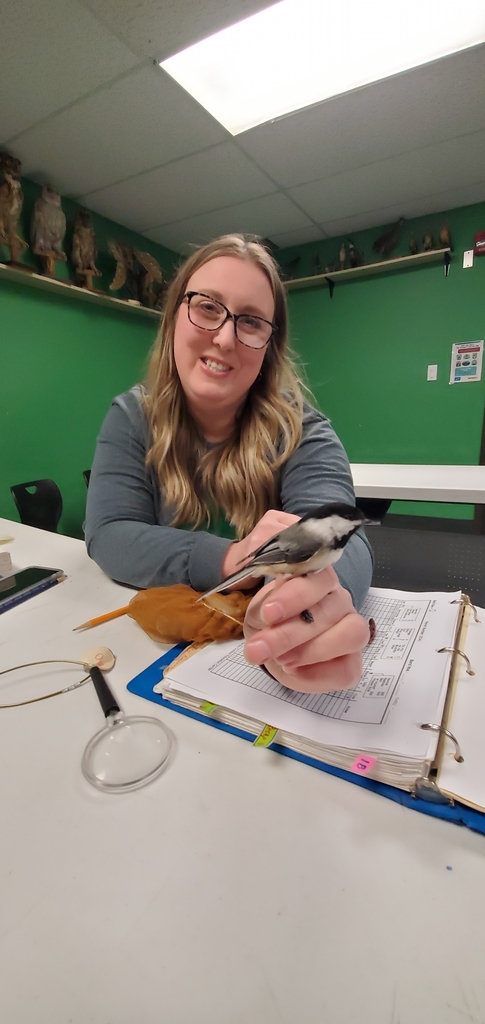 hartley naturalist holds bird