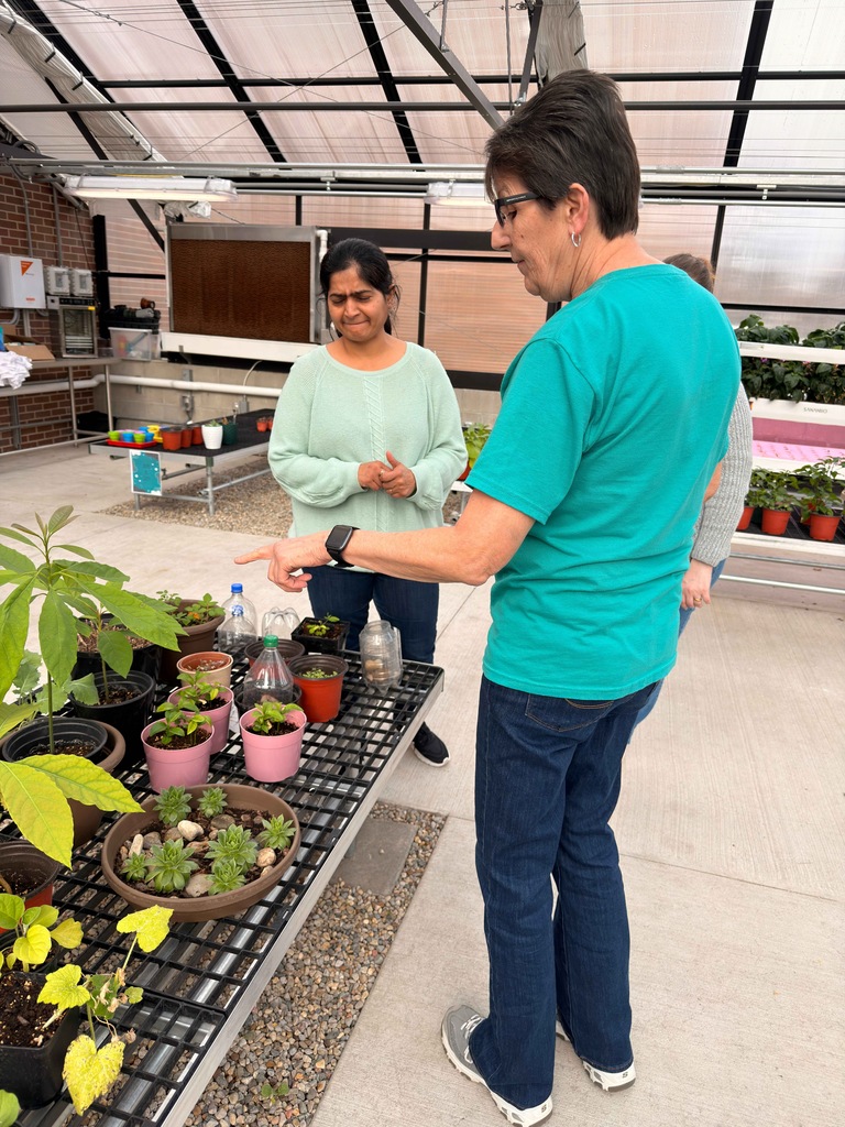 Ms. Rohde supporting teachers from across the building in understanding the live cycle of avocado plants.