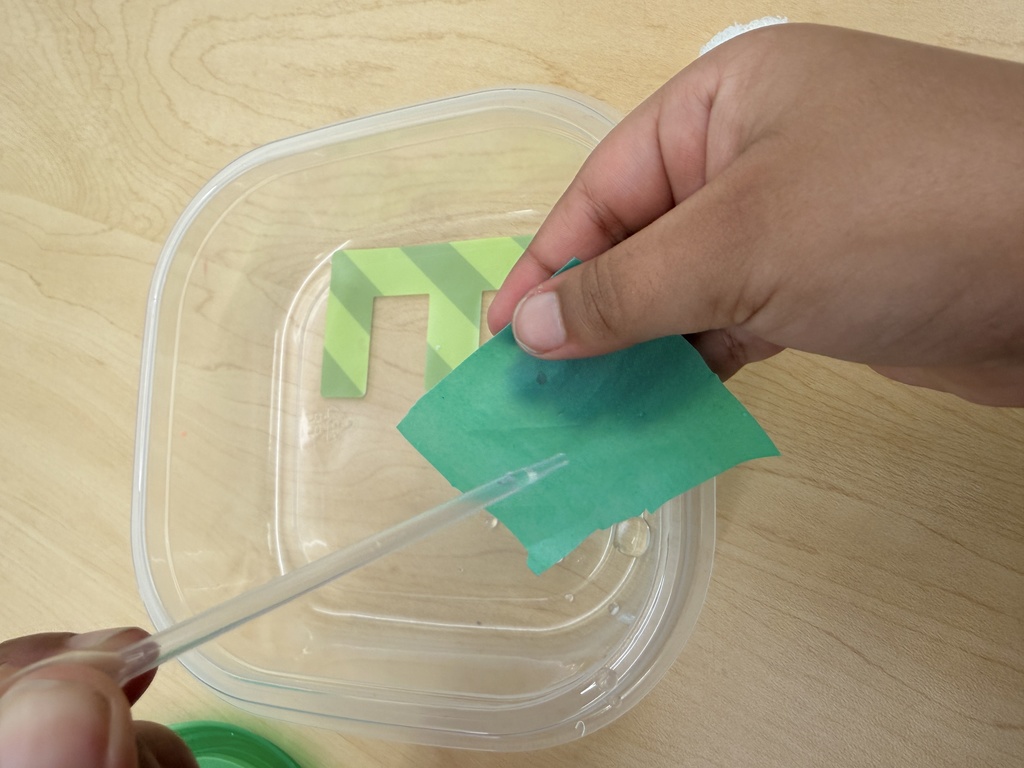 Student testing water absorption during small-group instruction. 