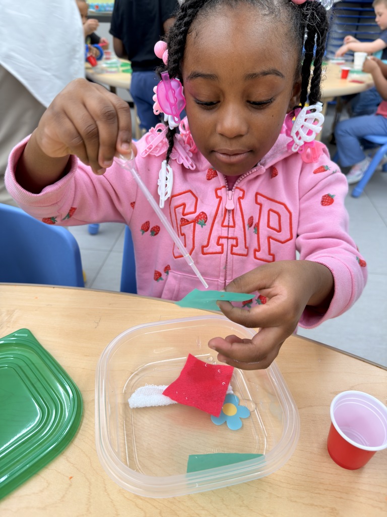 Student testing water absorption during small-group instruction. 
