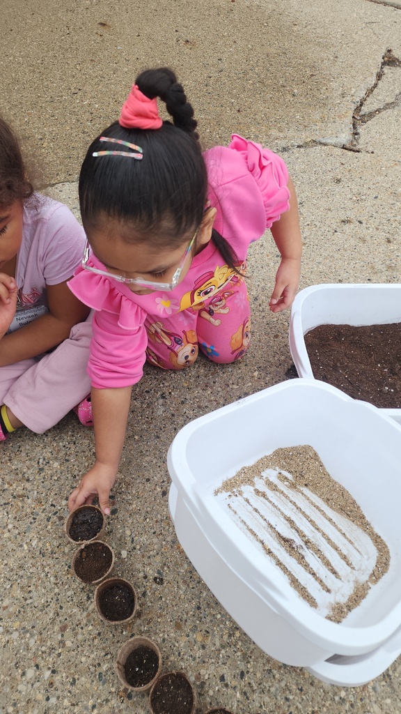 seeds were planted...