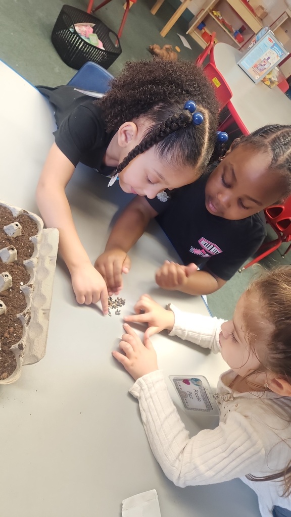The girls are deep in conversation and sorting seeds before planting their flowers 💐 