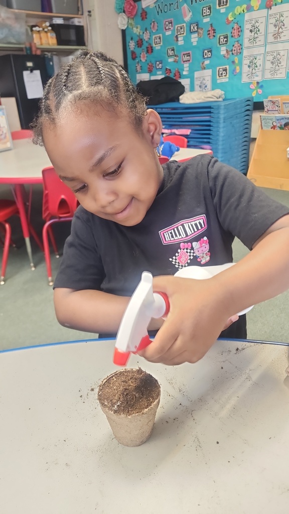 The look of concentration 