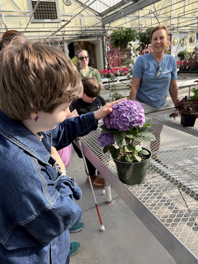A student feeling the top of a flower.
