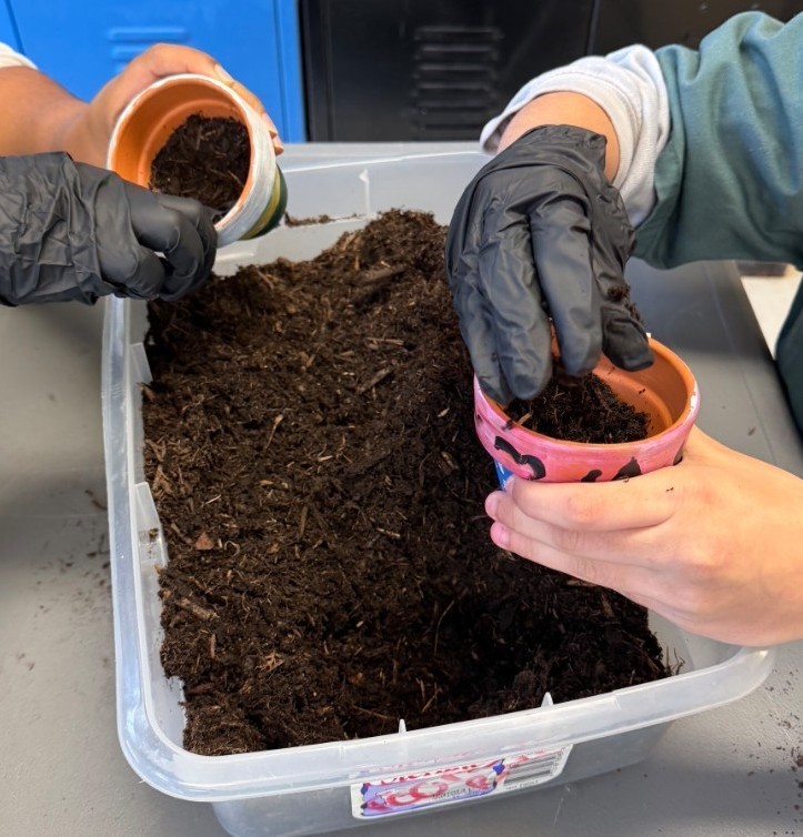 a pair of students handling soil and placing it in small planters with gloved hands