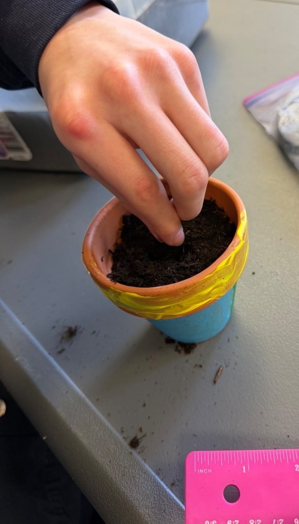 student placing a seed into a colorfully painted planter, a pink ruler visible in the bottom right corner 