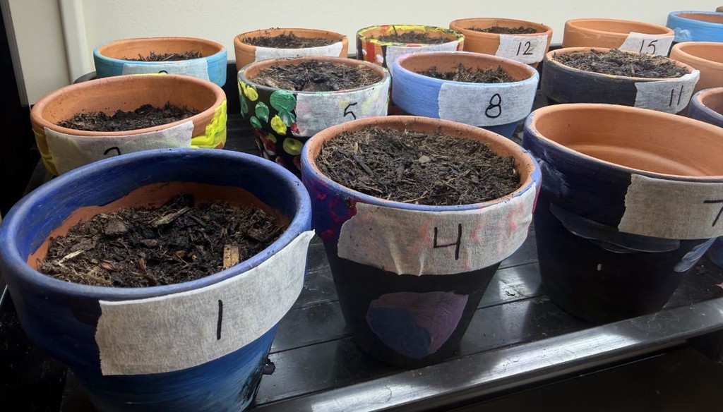 rows of colorful planters full of soil under a light and labeled numerically 