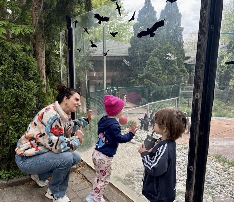 fun at zoo