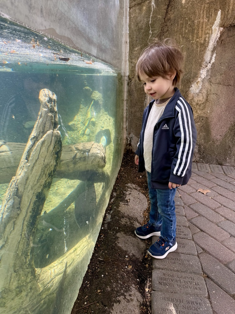 fun at zoo