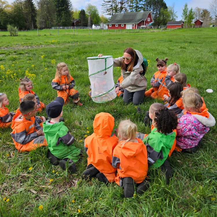butterfly release 