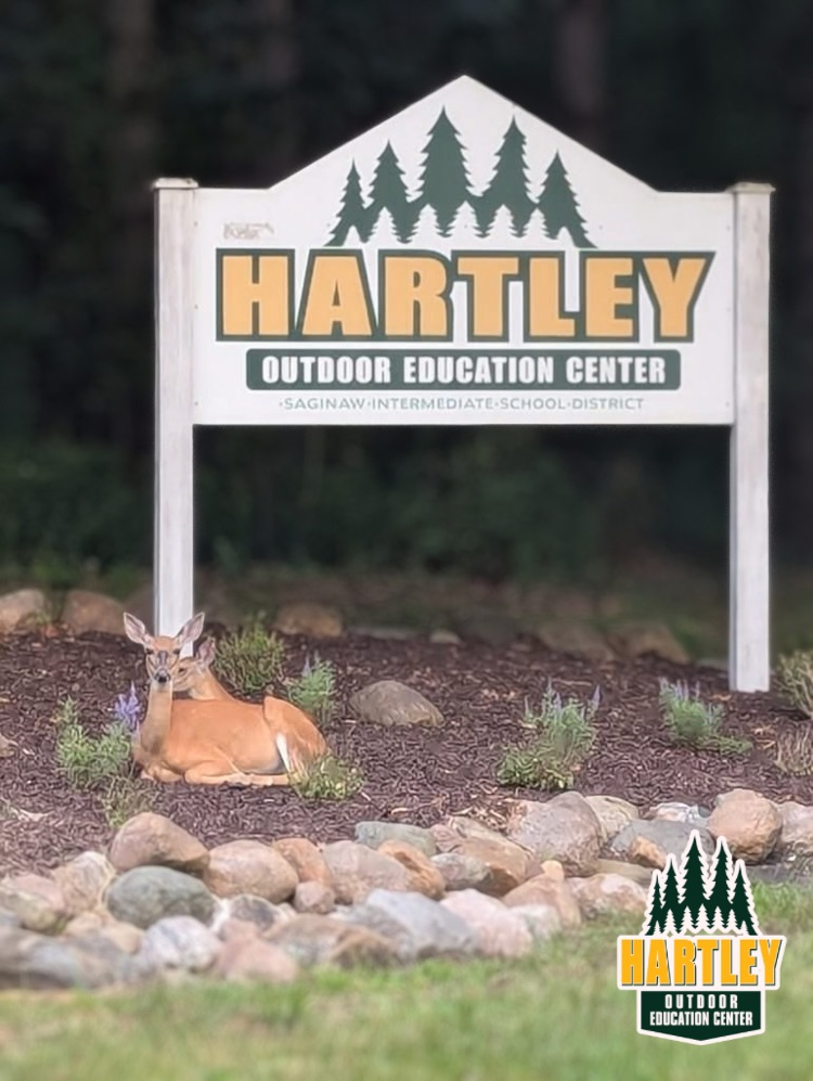 deer sitting together next to sign