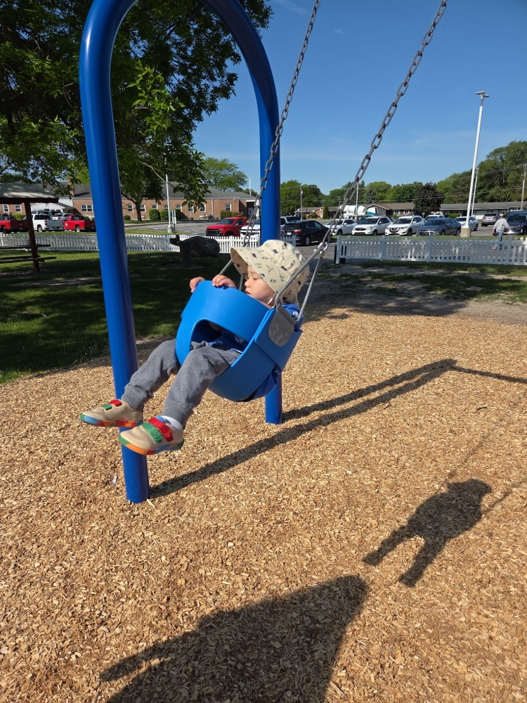swings