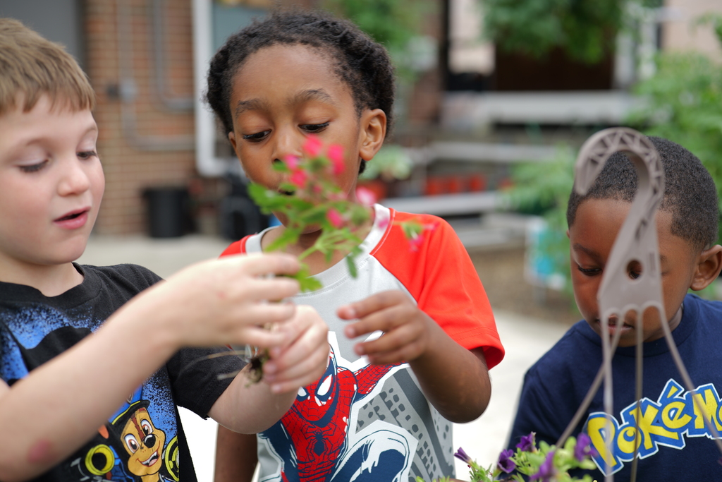 Three children in a garden examining flowers, one holding a pink one, another holding a green one.
