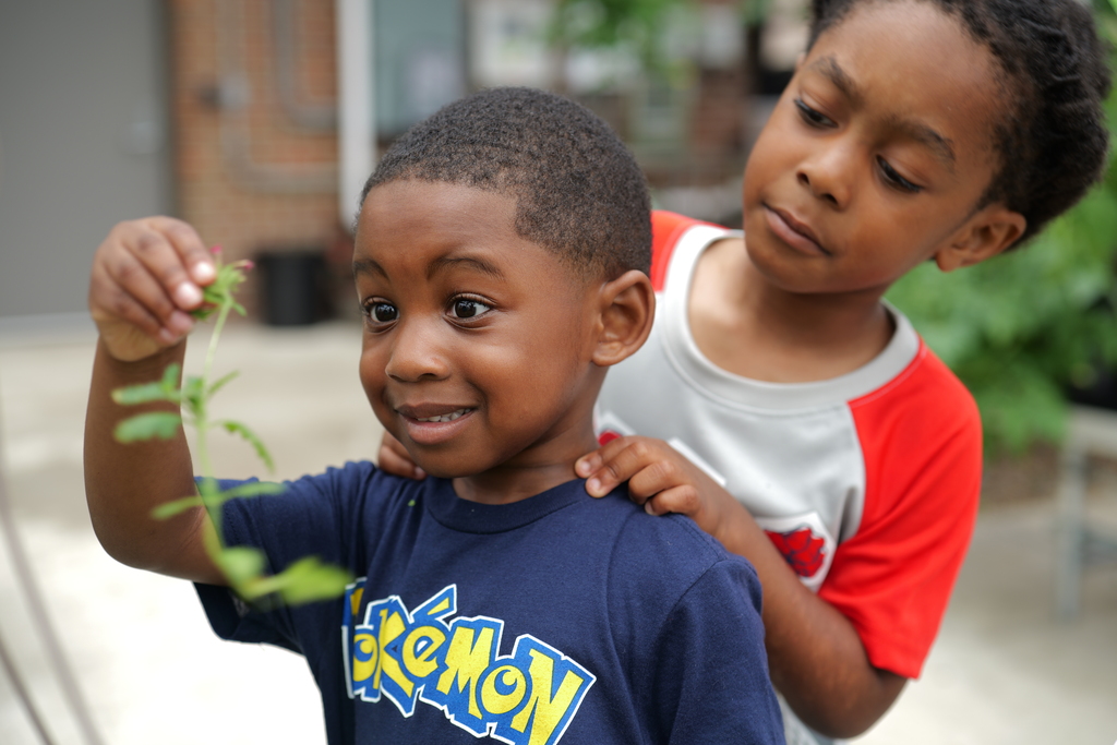 Two young boys, one in a blue shirt and the other in a red and white shirt, stand outside, smiling and holding a plant.
