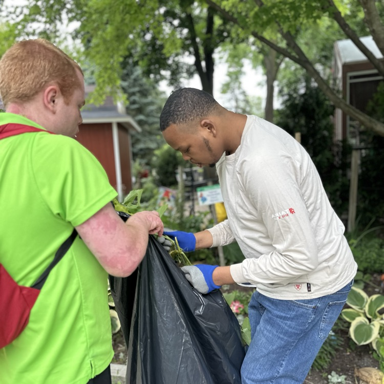 students clean zoo