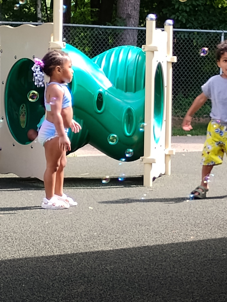 Water Day