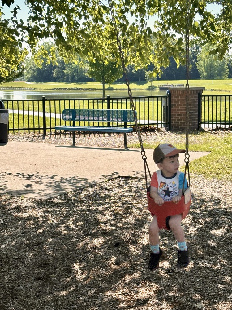 swings 