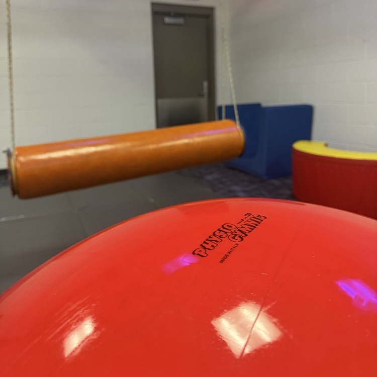millet students are cleaning the sensory room