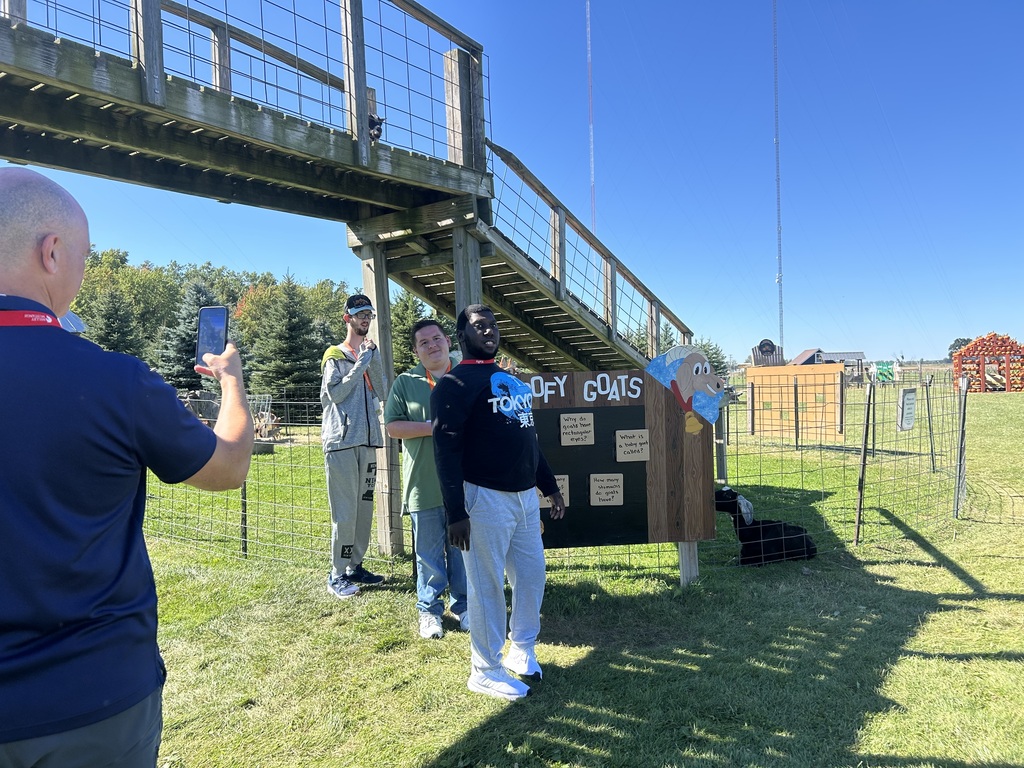 People in a grassy field, with a bridge above. One person holds a phone and takes a photo.
