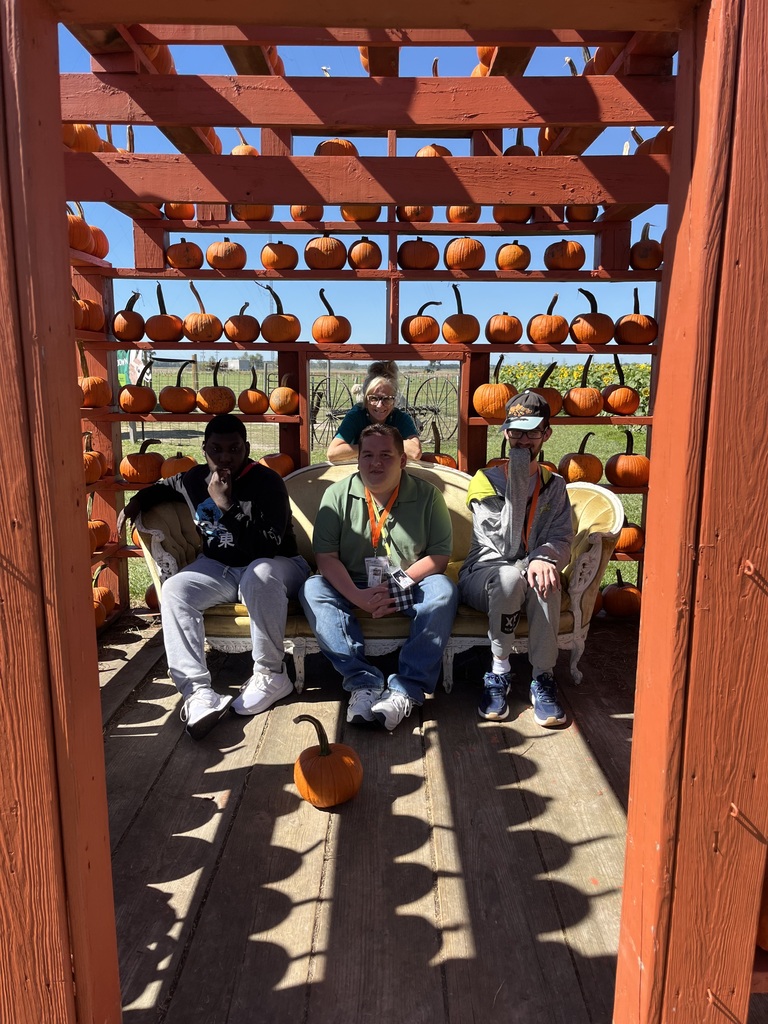 Four people in a pumpkin patch, sitting on a bench with pumpkins around them. One person has a pumpkin.