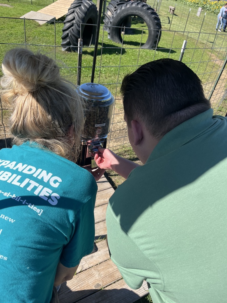 Feeding the animals at Johnson Pumpkin Farm