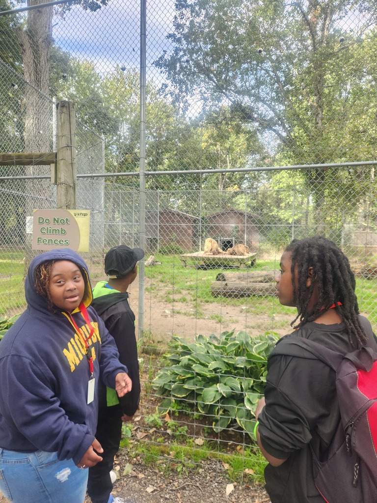 Three students look excited as they watch lions at the zoo.