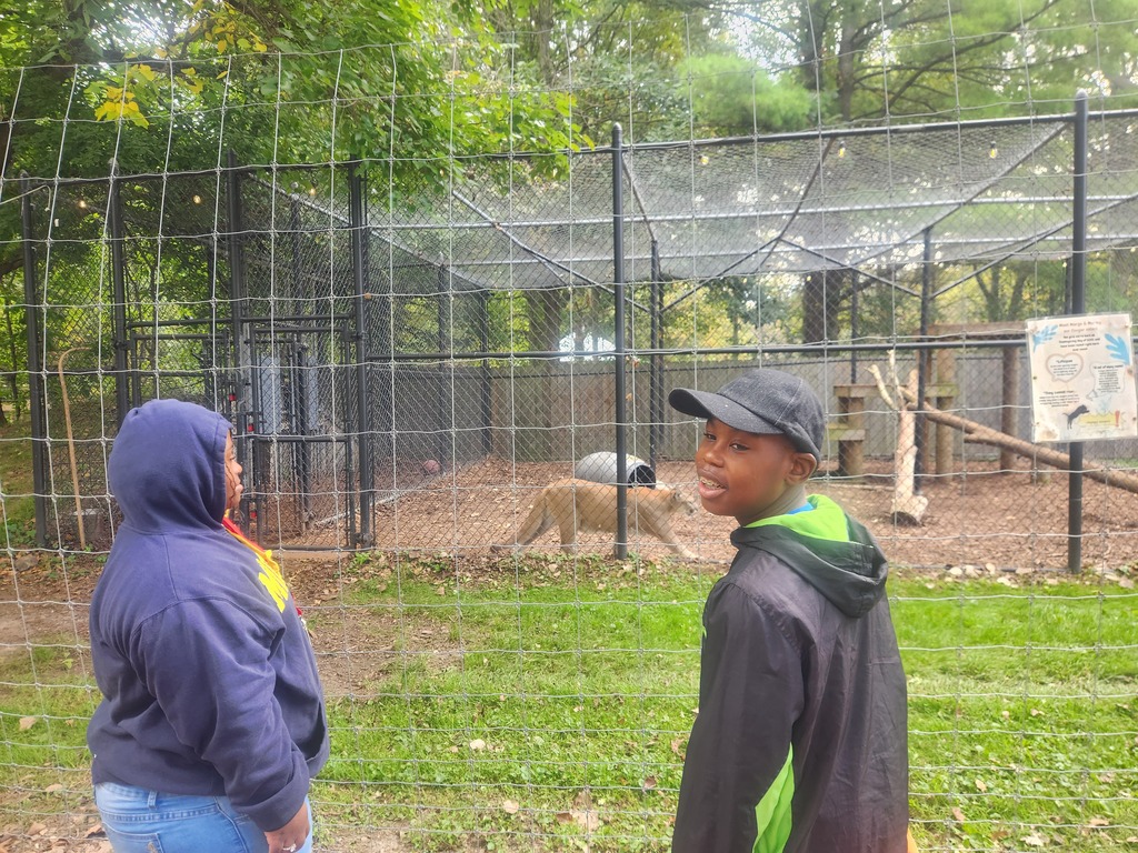 two students look at a cougar at the zoo