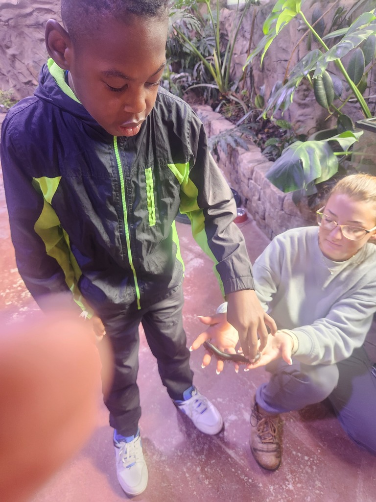 A young student carefully touches a Giant African Milipede while visiting the Rainforest Encounter at the zoo