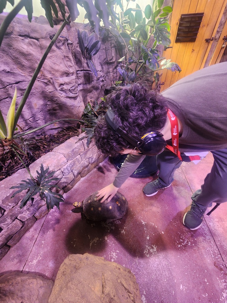 A student bends over to pet a tortoise on the shell.
