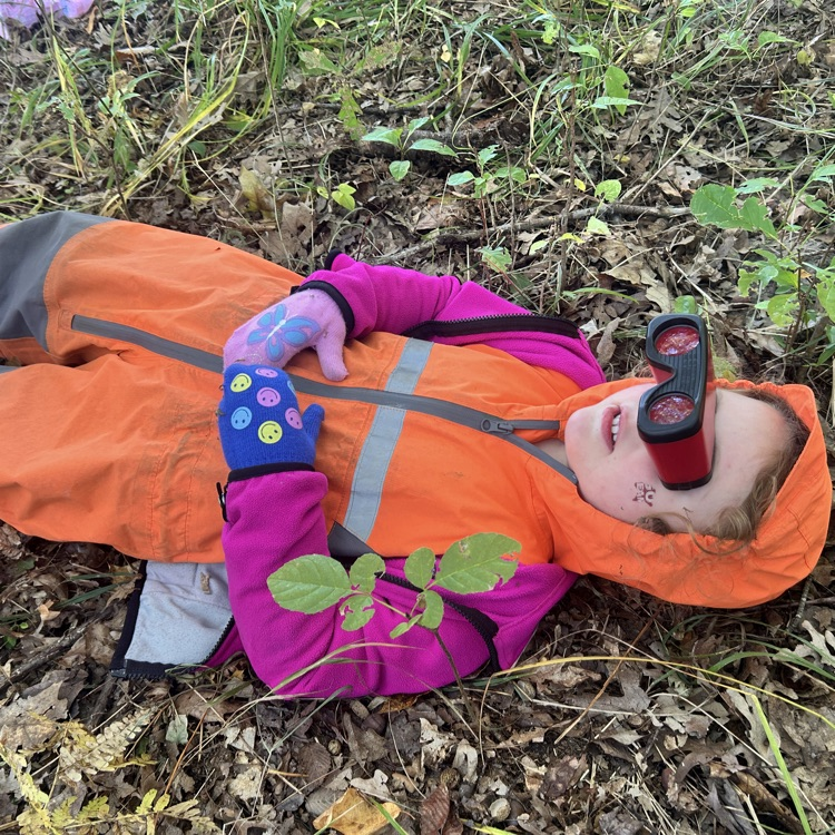 using observation tools in the woods