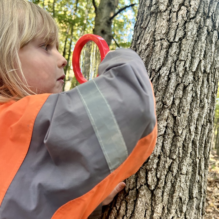 using observation tools in the woods