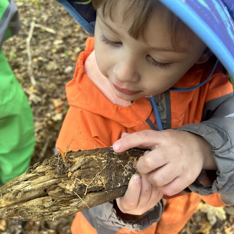 using observation tools in the woods