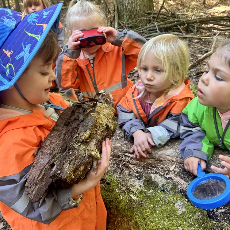 using observation tools in the woods
