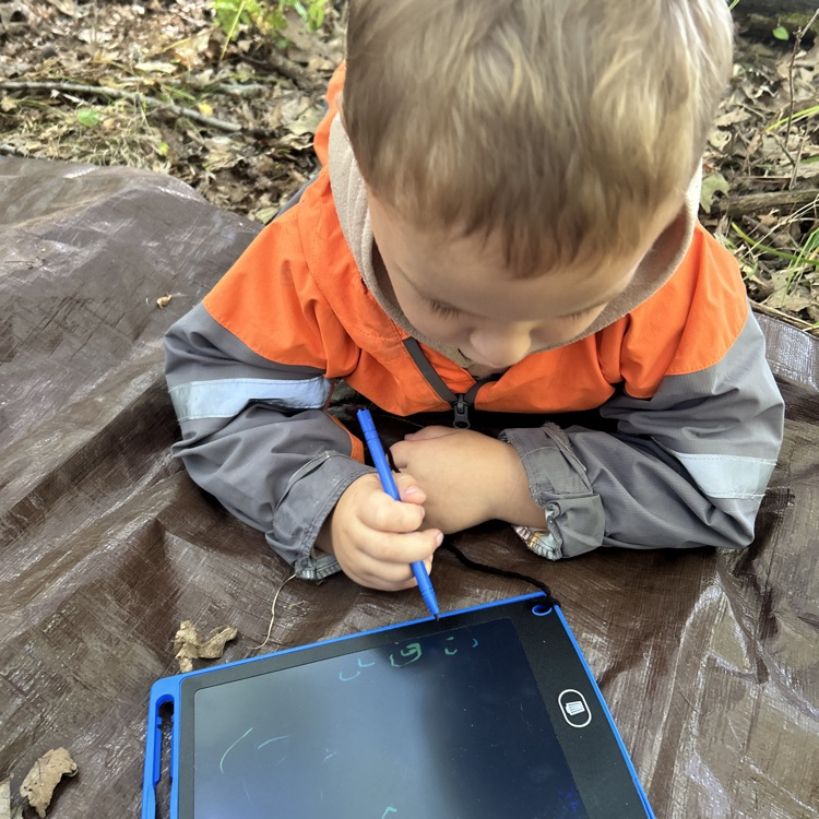 sketching the trees