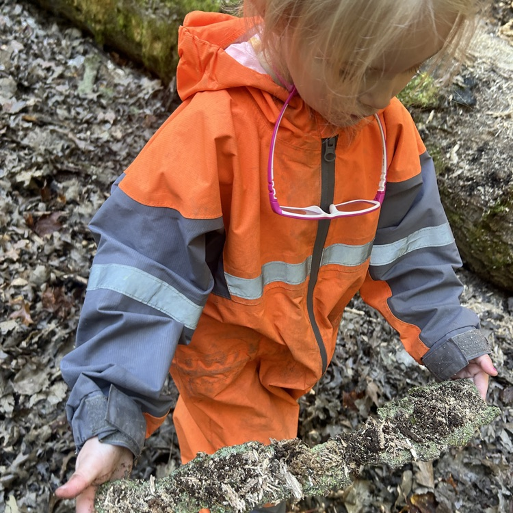 using observation tools in the woods