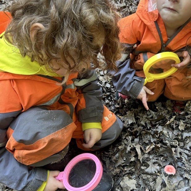 using observation tools in the woods